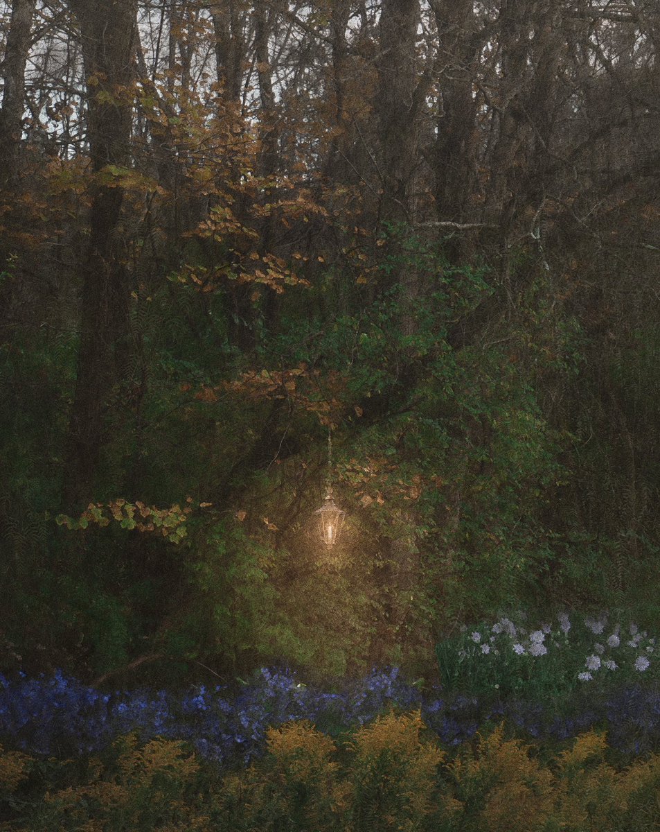 lordofthecatss's tweet image. an uncomfortable silence