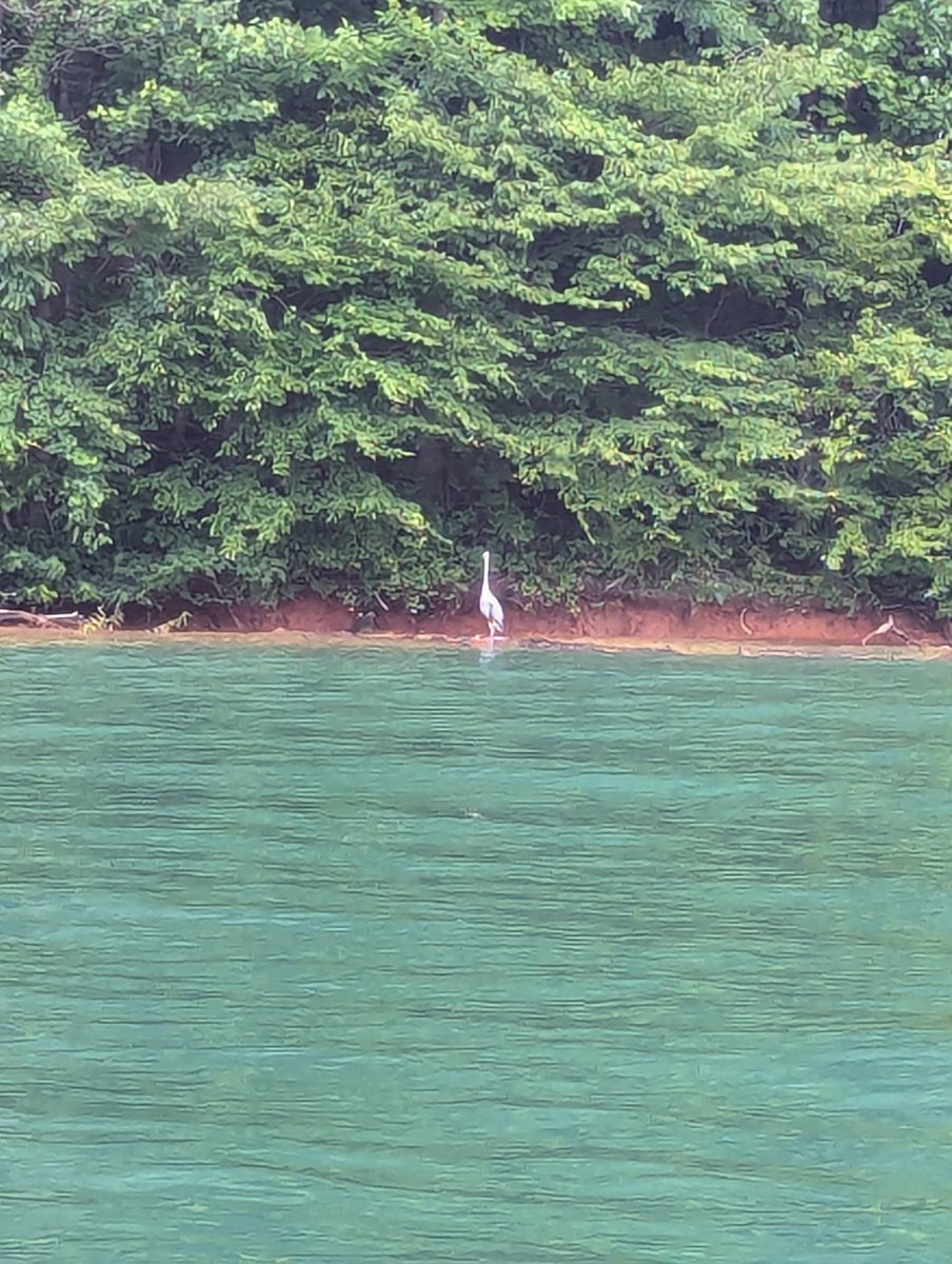 Matt Spangler tweet media