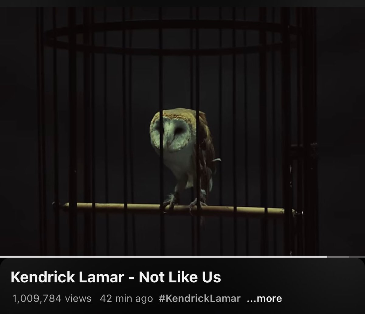 bruh, the pop out concert on Juneteenth and the music video dropping on July 4th is diabolical work 😂