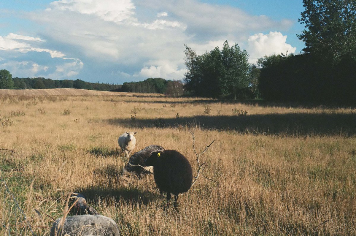res_artis's tweet photo. Det Vilde Spinderi- TEXTILE, ART AND DESIGN RESIDENCY 
https://t.co/gBInFfaTn1
#denmark > Deadline: July 8, 2024
#denmarkart #artsresidency #textile https://t.co/pm31FjQHqp