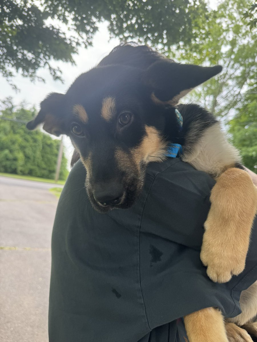 t6lly's tweet photo. adopted a freaky looking little fella!!! https://t.co/VgCyFk5Nkg