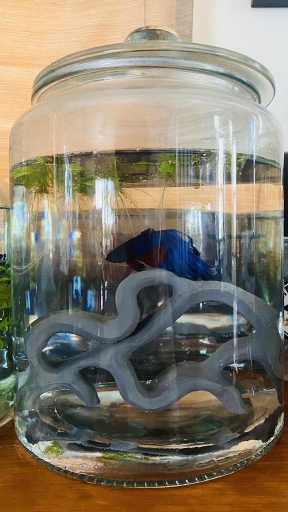 RitoRito_pro's tweet photo. あ、乗っかってる!
気に入った様です😊♪
#SheltaCrafta
#ボトリウム
#ベタ https://t.co/gvyGhH2ppi