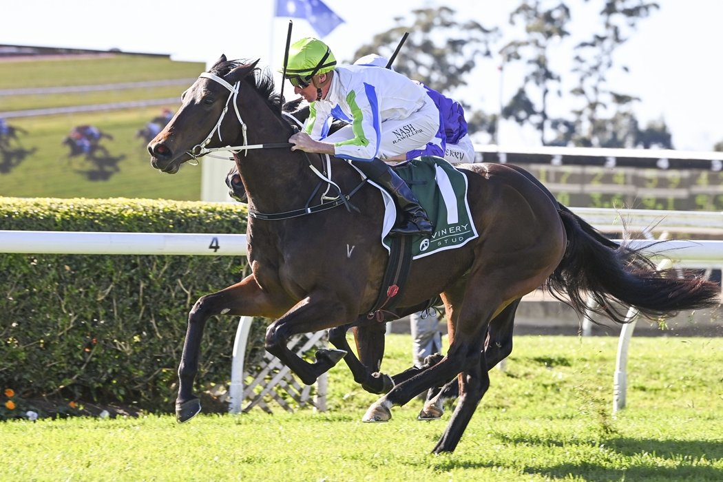 Racing NSW (@racing_nsw) on Twitter photo "I’m starting to formulate a plan for her going forward, one step at a time but she’s a very nice filly."
Kristen Buchanan hopes Nash Rawiller can offset the 59kg and guide Winning Proposal to another win at Randwick on Saturday.📸 <a href="/Bradley_Photos/">Bradley Photos</a>
READ: tinyurl.com/63u3nwt6 "I’m starting to formulate a plan for her going forward, one step at a time but she’s a very nice filly."
Kristen Buchanan hopes Nash Rawiller can offset the 59kg and guide Winning Proposal to another win at Randwick on Saturday.📸 <a href="/Bradley_Photos/">Bradley Photos</a>
READ: tinyurl.com/63u3nwt6