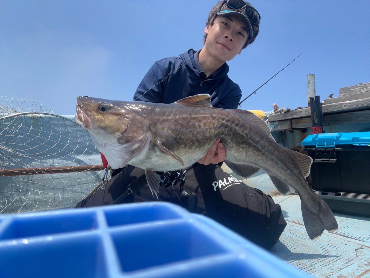 palms_global's tweet image. Slow Jigging with Slow Blatt L in Japan 🇯🇵
Rod: METAL WITCH QUEST α 632SF
Lure: Slow Blatt L 
Thank you Kei !!
 #palmsfishing #slowjigging #slowjig #slowpitchjigging #offshorejigging #jigging #deepseafishing #codjigging #codfishing #deepseajigging @palms_japan