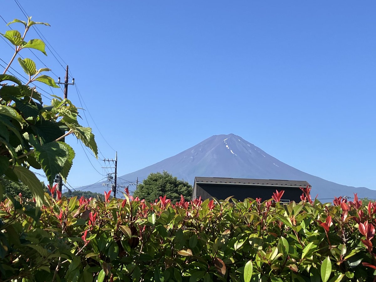 おはようございます🌞
すっかり雪も溶けて夜には山小屋の光が見れるようになりました🗻
ゴリパソ本日も稼働中〜😆
#FBA #せどり #アマゾン #FBA納品代行 #プライスター #メルカリ #ヤフオク #楽天 #無在庫ツール #副業 #在宅副業 #電脳 #配送代行