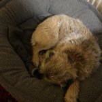 Photo by Bramble BT (@BrambleBT)
