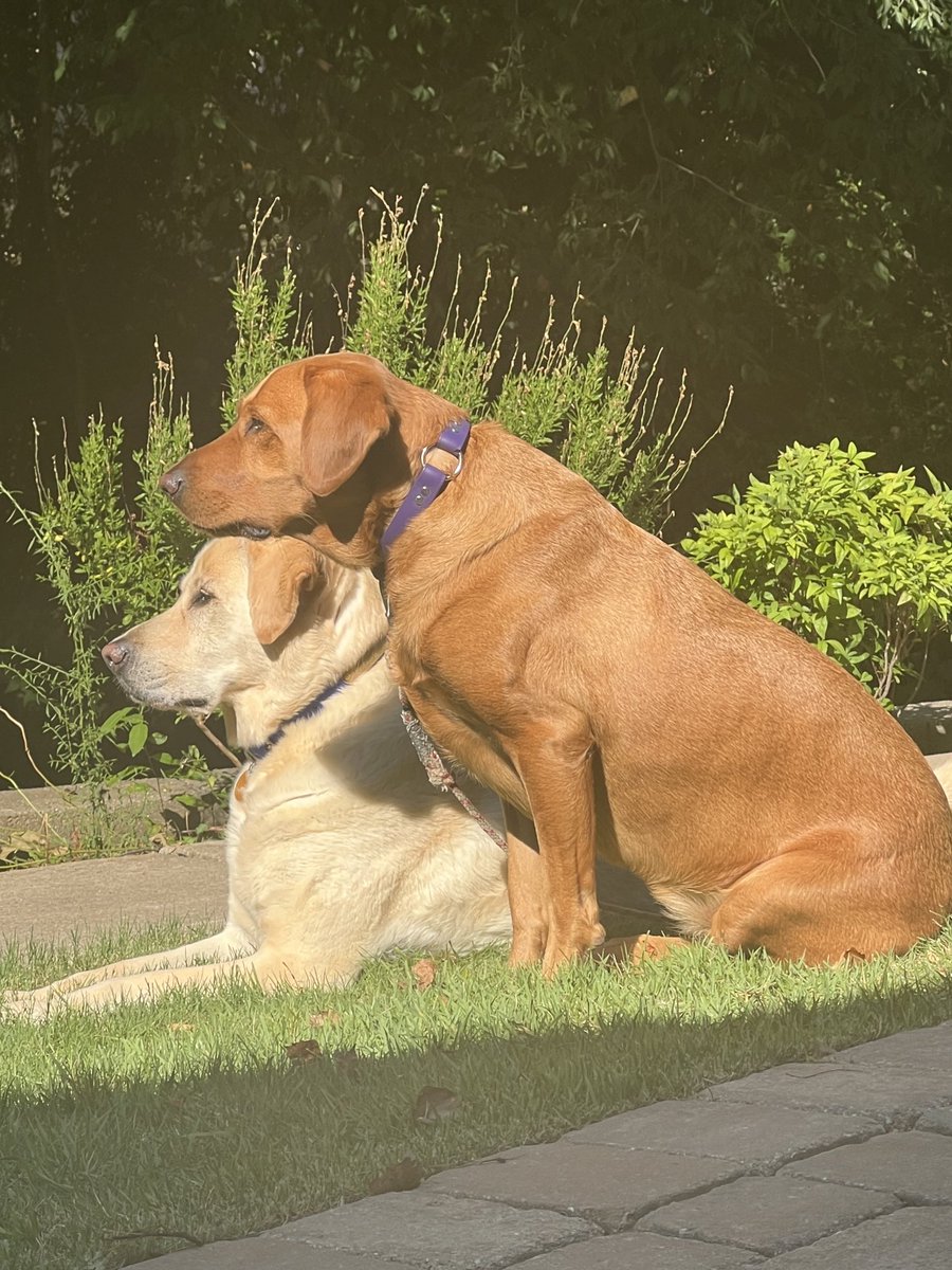 DrLoretoJackson's tweet photo. Anticipating the #4thJuly fireworks #Bringem https://t.co/gmjY28LJc1