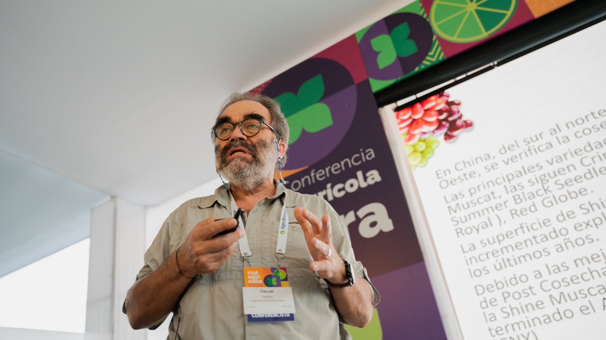 🗣️ Óscar Salgado, asesor internacional y especialista en uva de mesa, destacó el notable avance de China en la producción de uva de mesa, apuntando a lograr cosechas durante los 12 meses del año.