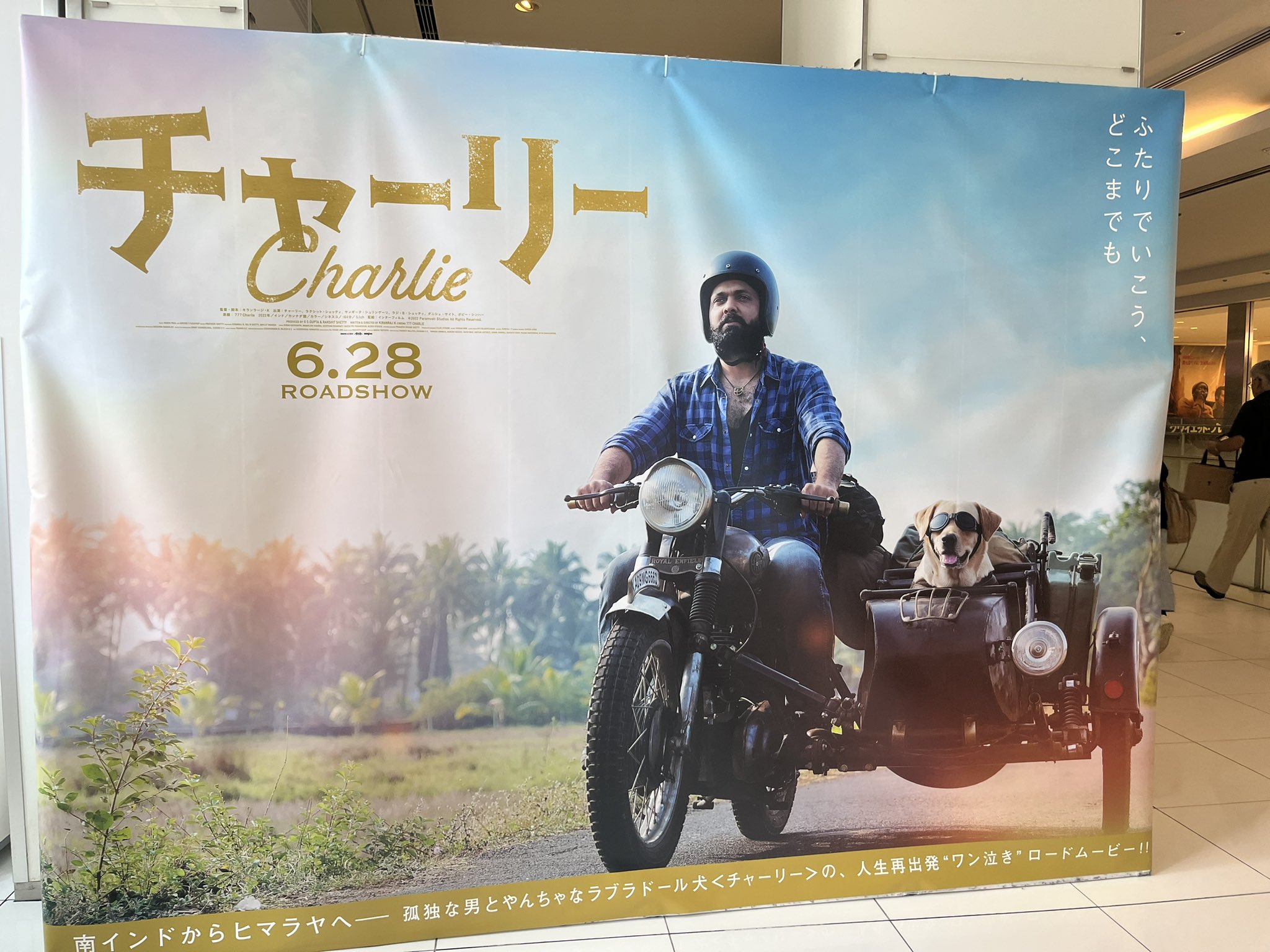 ✨ charlie様確認用✨