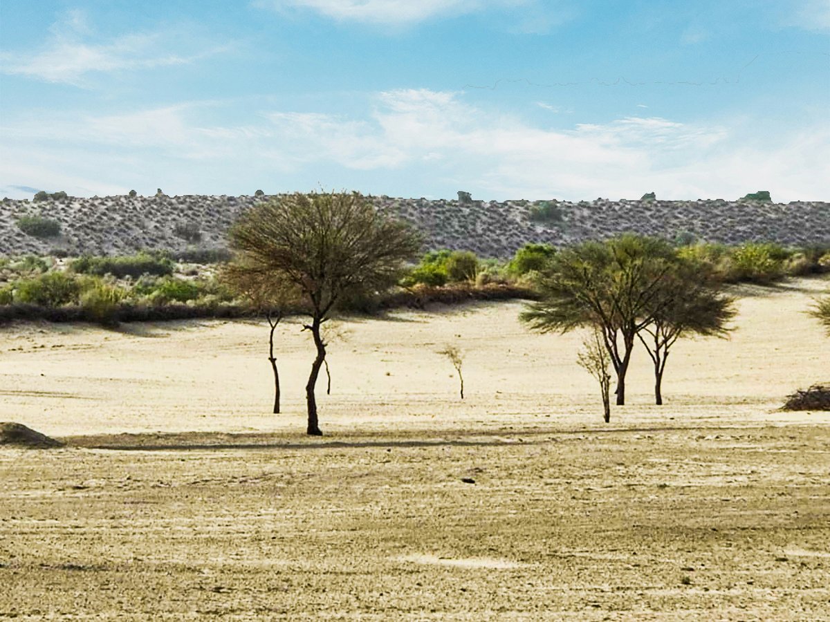 TABNAKfdn's tweet photo. Even a small amount of water can become a lifeline for these areas. If the land receives enough amount of water during the rainy season it can alter the barren landscape into green areas.  
#tabnakfoundation #fosteringhumanity #waterforlife https://t.co/7xGTTCGQwN