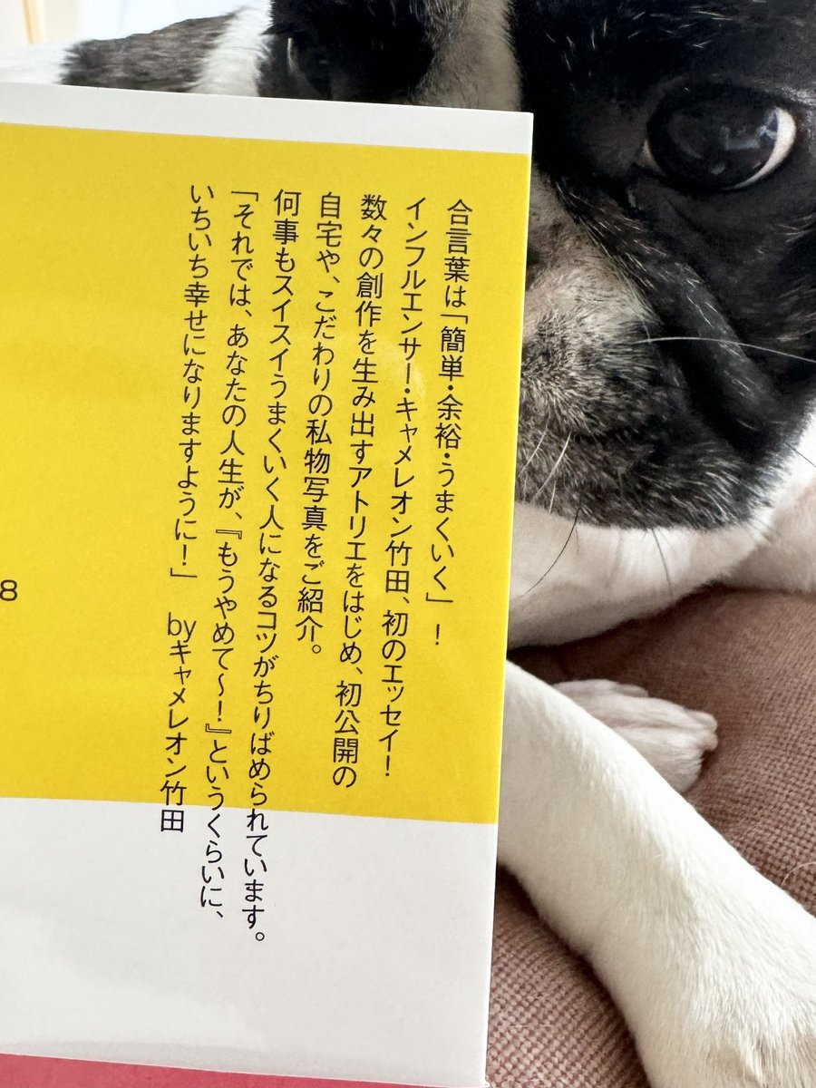 ChamereonTakeda's tweet photo. 「それでは、あなたの人生が、『もうやめて～！』というくらいに、いちいち幸せになりますように！」 byキャメレオン竹田
https://t.co/bEHULly1S5 https://t.co/FOdHRBg5eE