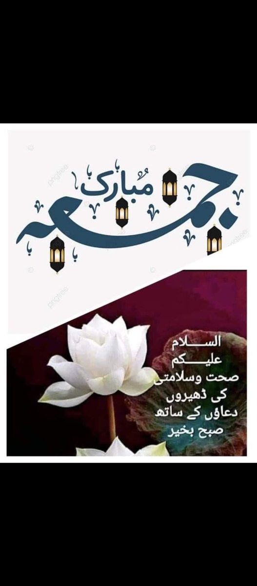 Taimoor Alam tweet media