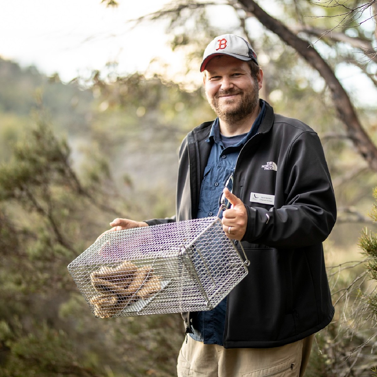 David standing in the bush, holding a humane trap made of wire