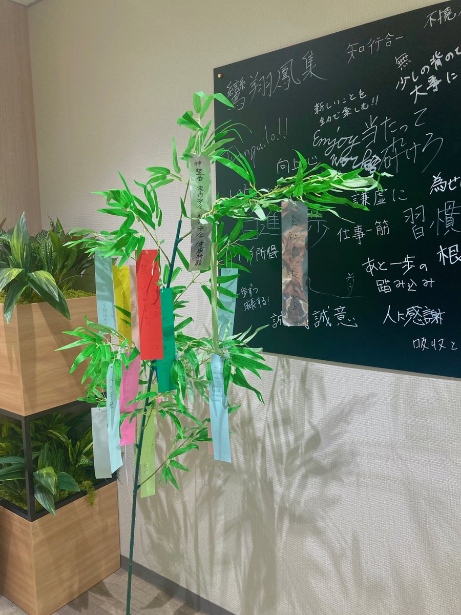 今週の日曜日は七夕！ということで、
オフィスに笹と短冊を飾りました🎋✨

健康面だったり、仕事面だったり、
推し活についてだったり、、、？
みんな思い思いに願い事をしました！

全ての願いが叶いますように🌌
