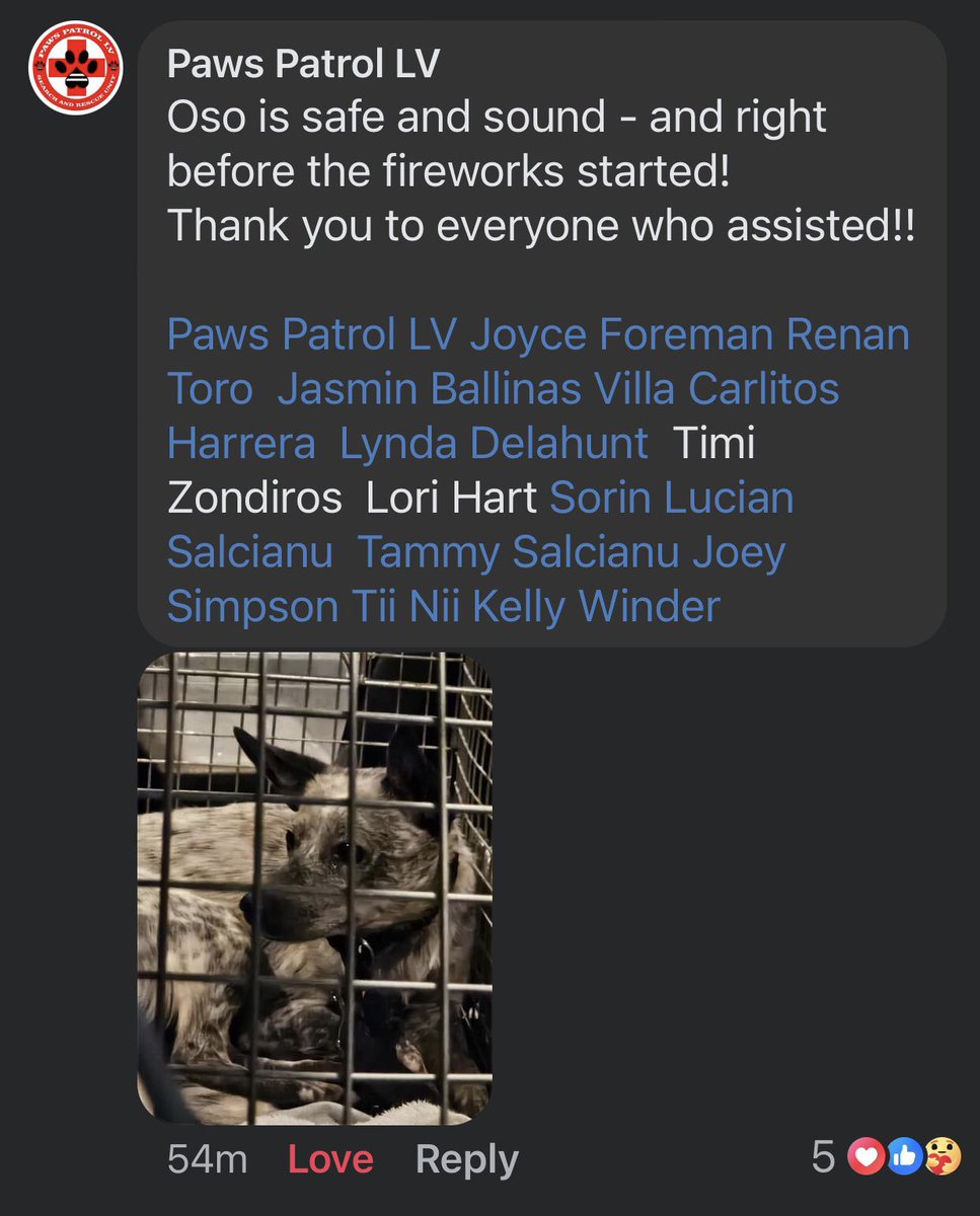 lmk_718's tweet photo. @CristenDrummond They trapped Oso tonight. Thank you for doing a story on Paws patrol. LV They work so hard for our community and never give up. https://t.co/8Camf2SRq8