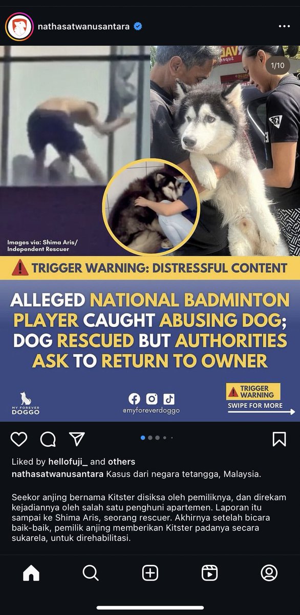 katrinsss's tweet photo. National badminton player dari negeri tetangga. Siapa ini wooooy???😱 punya anjing bagus lucu gitu malah disiksa, gila kali kau 🤬 https://t.co/37MJ6jNDzZ