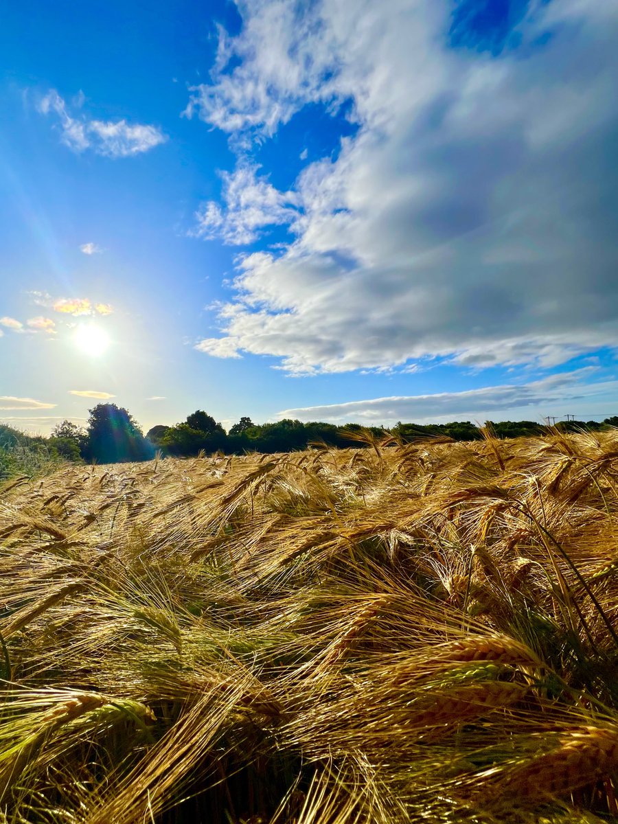 A beautiful North Durham Morning.