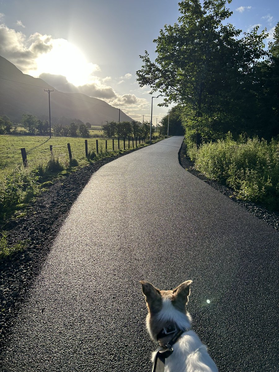 💯 Di 💯 tweet media