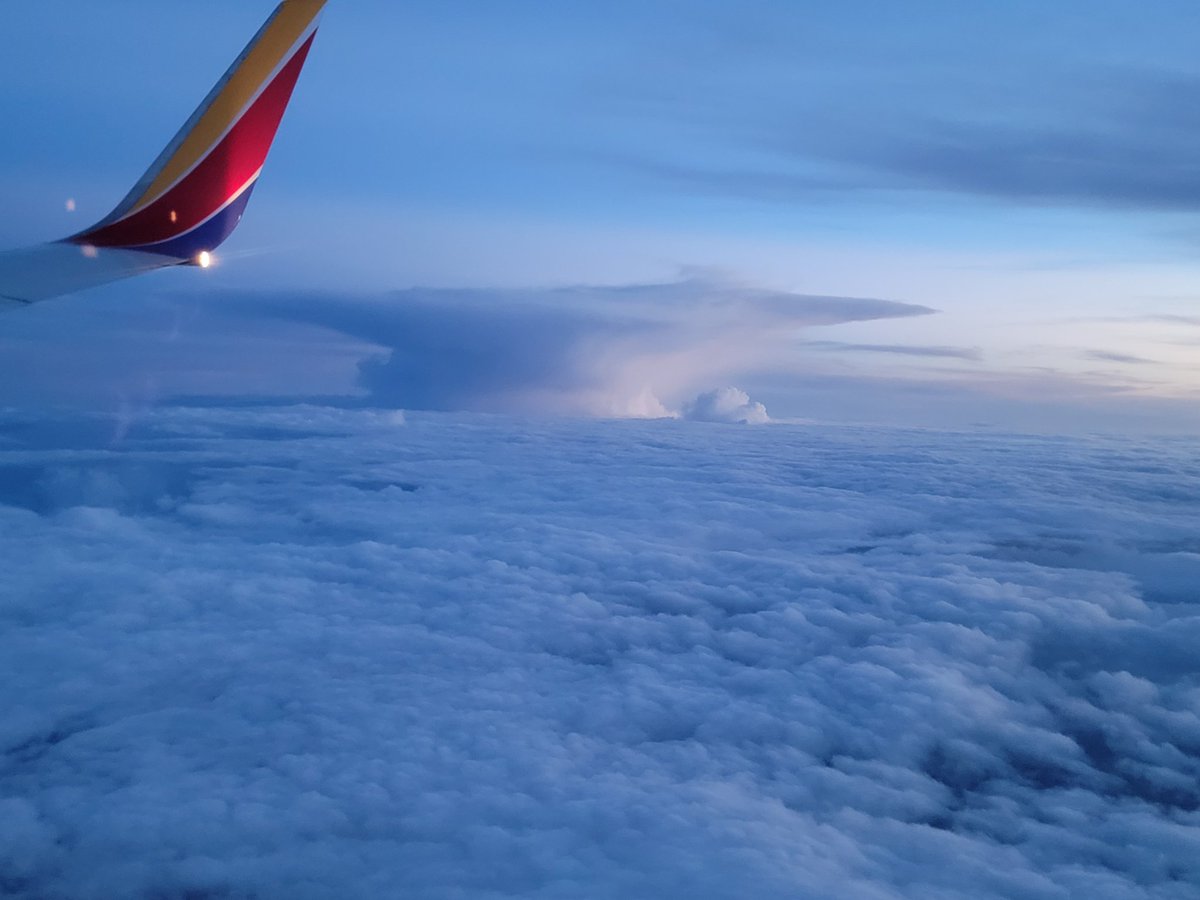 Stephan Frank tweet media