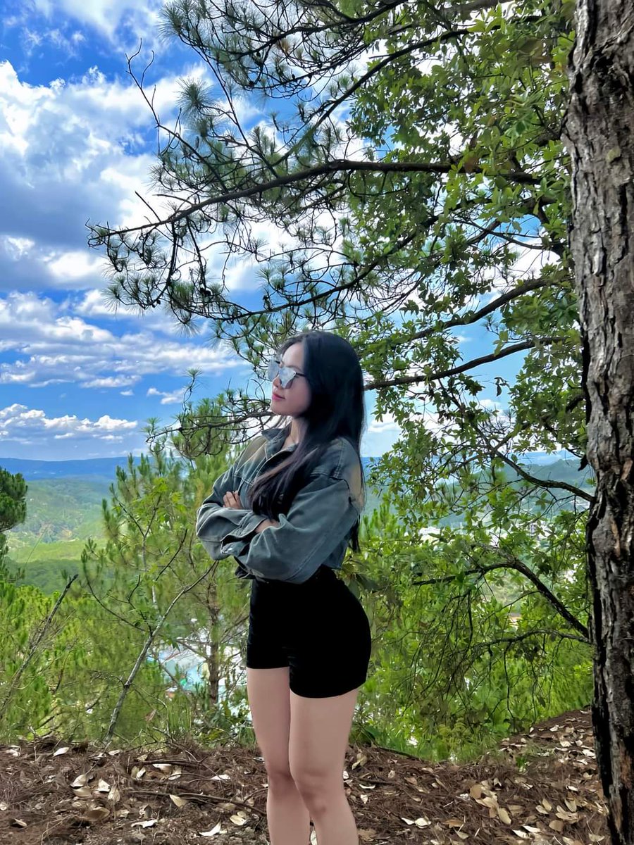 Linh Nguyễn tweet media