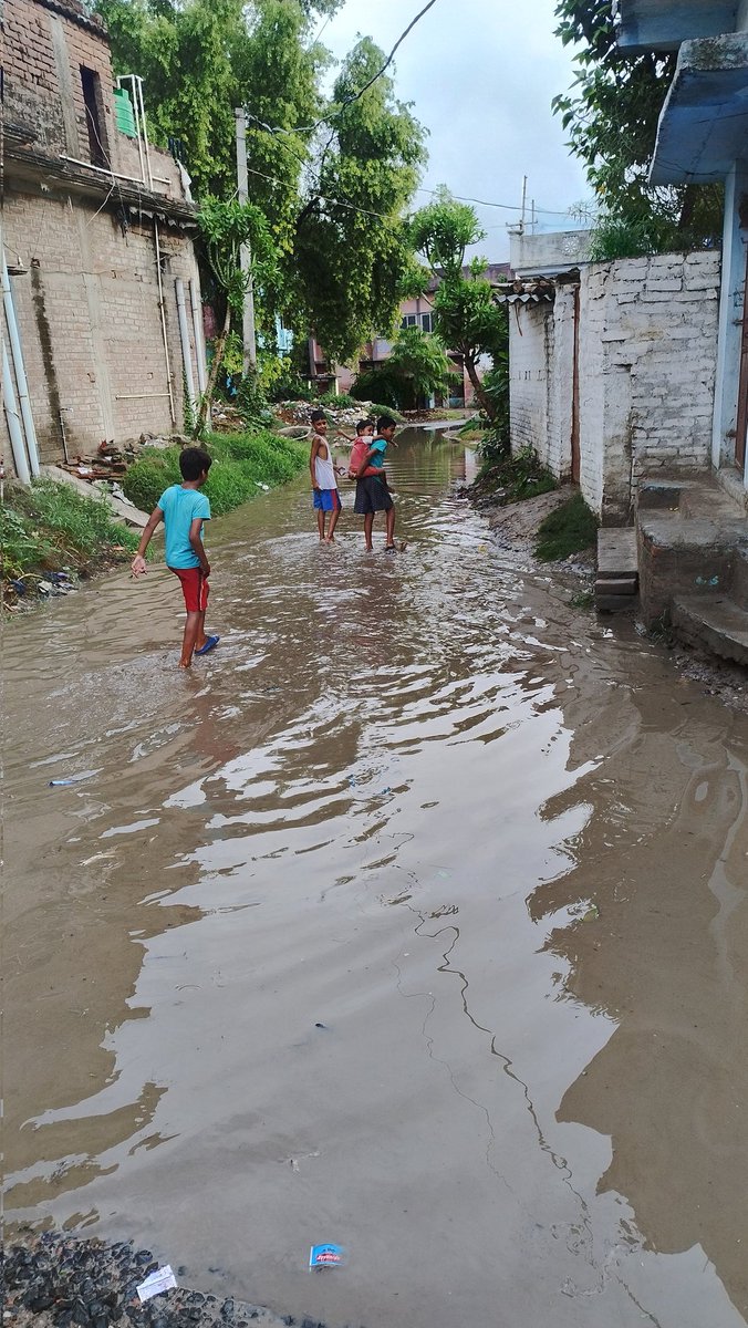 sonu_taskar's tweet photo. Saboura,851114, Begusarai,Bihar,Near Barauni oil refinery.
This has become the biggest problem in our village.Requesting you to please help.
No Help from Barauni Block. @mopr_goi @PMOIndia @MoRD_GoI https://t.co/V3a22wqAjk