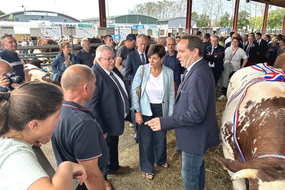 🗞️🐄 PRESSE : Festival de la Viande : les inscriptions sont ouvertes !

A Évron, le Festival de la Viande aura lieu sur le dernier week-end d'août. Alors que les organisateurs s'activent, les inscriptions viennent d'ouvrir

📲 actu.fr/pays-de-la-loi…