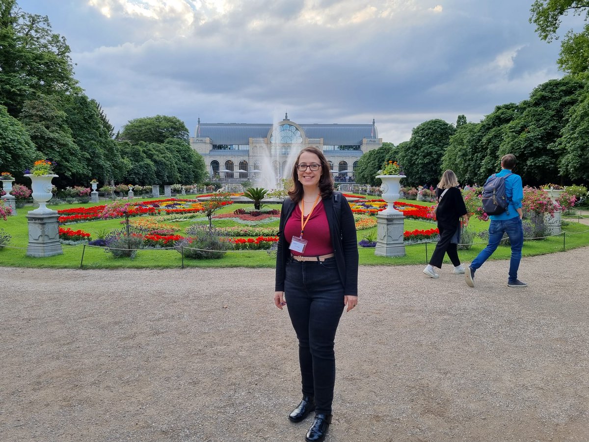 Liran Harsgor tweet media