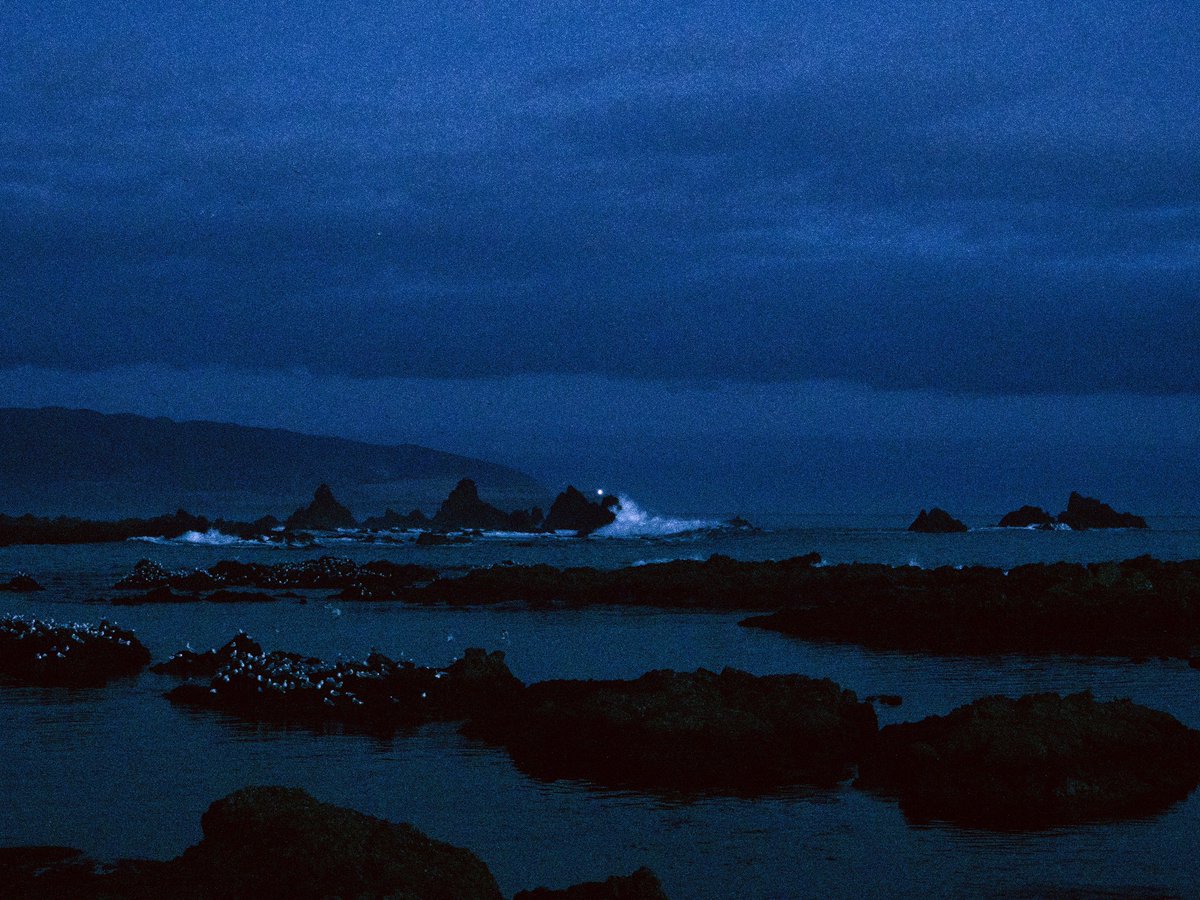 ezraleary's tweet image. Our blue world