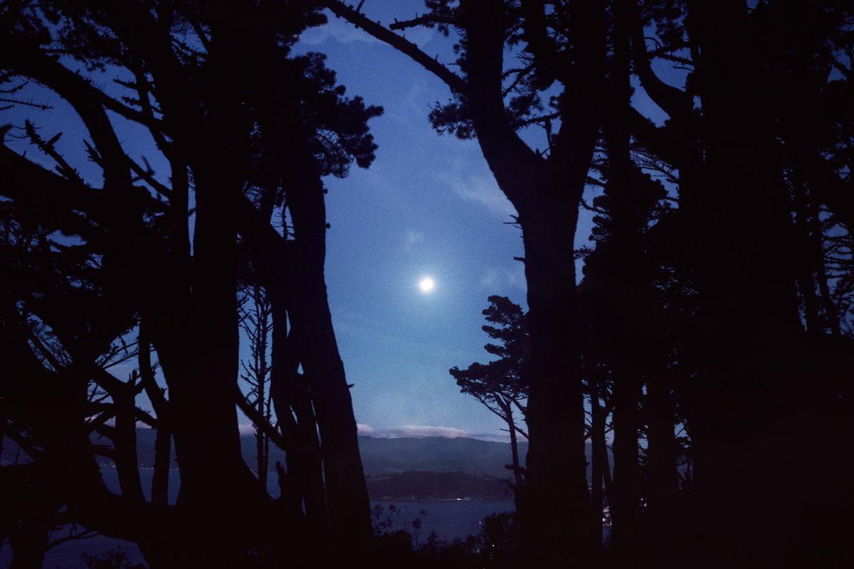 ezraleary's tweet image. Our blue world