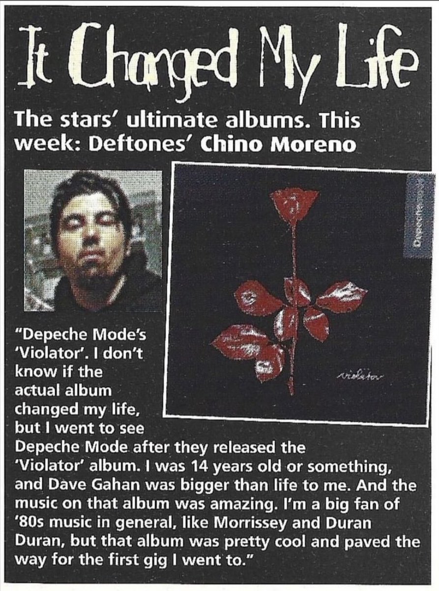chino forever based