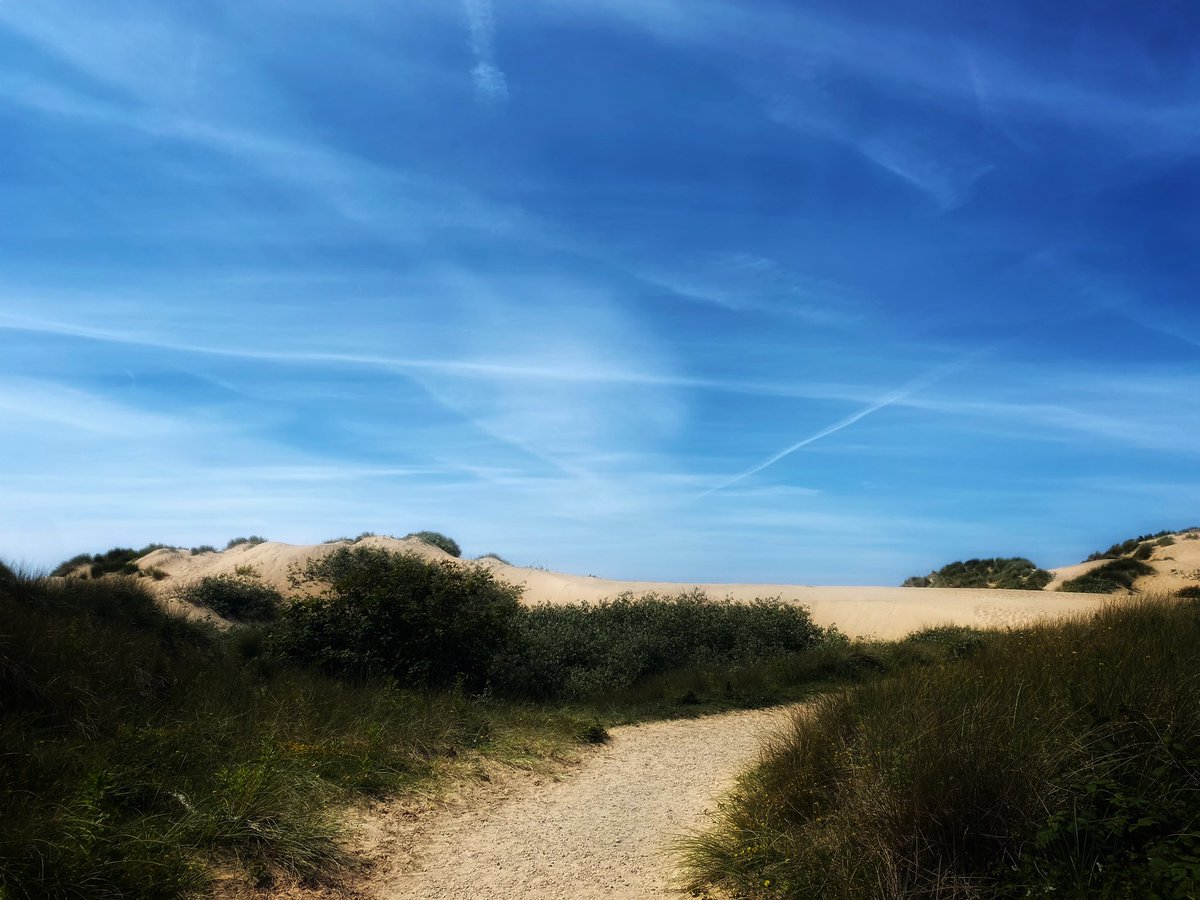 joymarie_h's tweet photo. #formbybeach https://t.co/FqvbQvtbJ6