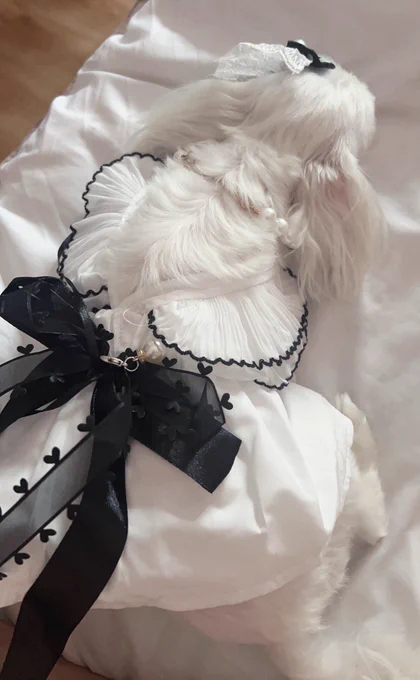 Idk if I can bring her along tomorrow cause i have a lot of stuff to bring  so just have a pic of the dress she was gonna wear for starstream