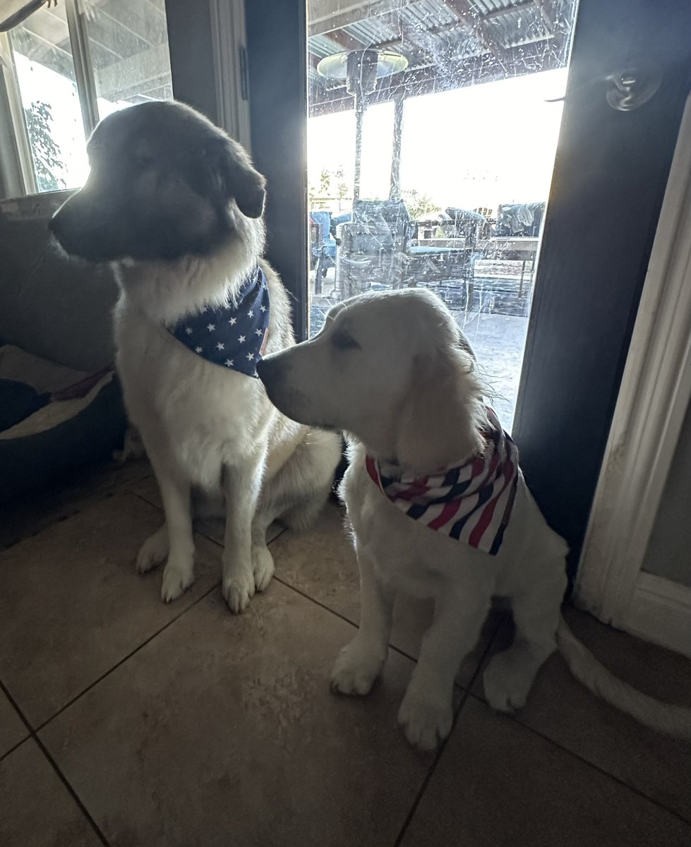 Happy 4th from Tony and Vinz