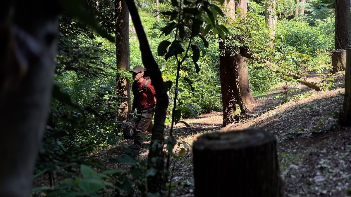 wildowl1219's tweet photo. Bushcraft camping with tarp shelter - sharpen blades https://t.co/EtAgBaUawc @YouTubeより https://t.co/aYJkpqW6Iv