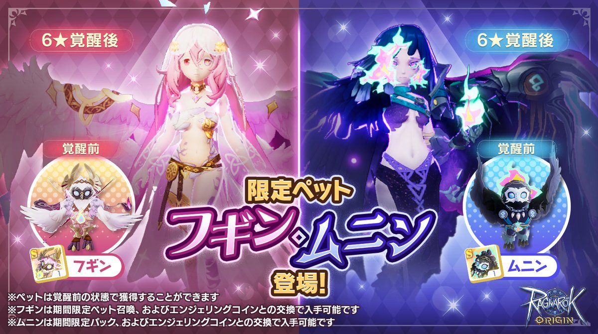 🩷  🖤 // 🩷 ／ 新ペット フギン・ムニン登場！ ／ 🖤 // 🩷  🖤 ＼ 詳細はゲーム内をご確認ください。 #ラグオリ