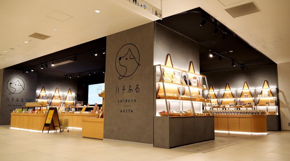 ハチふる【公式】 tweet media