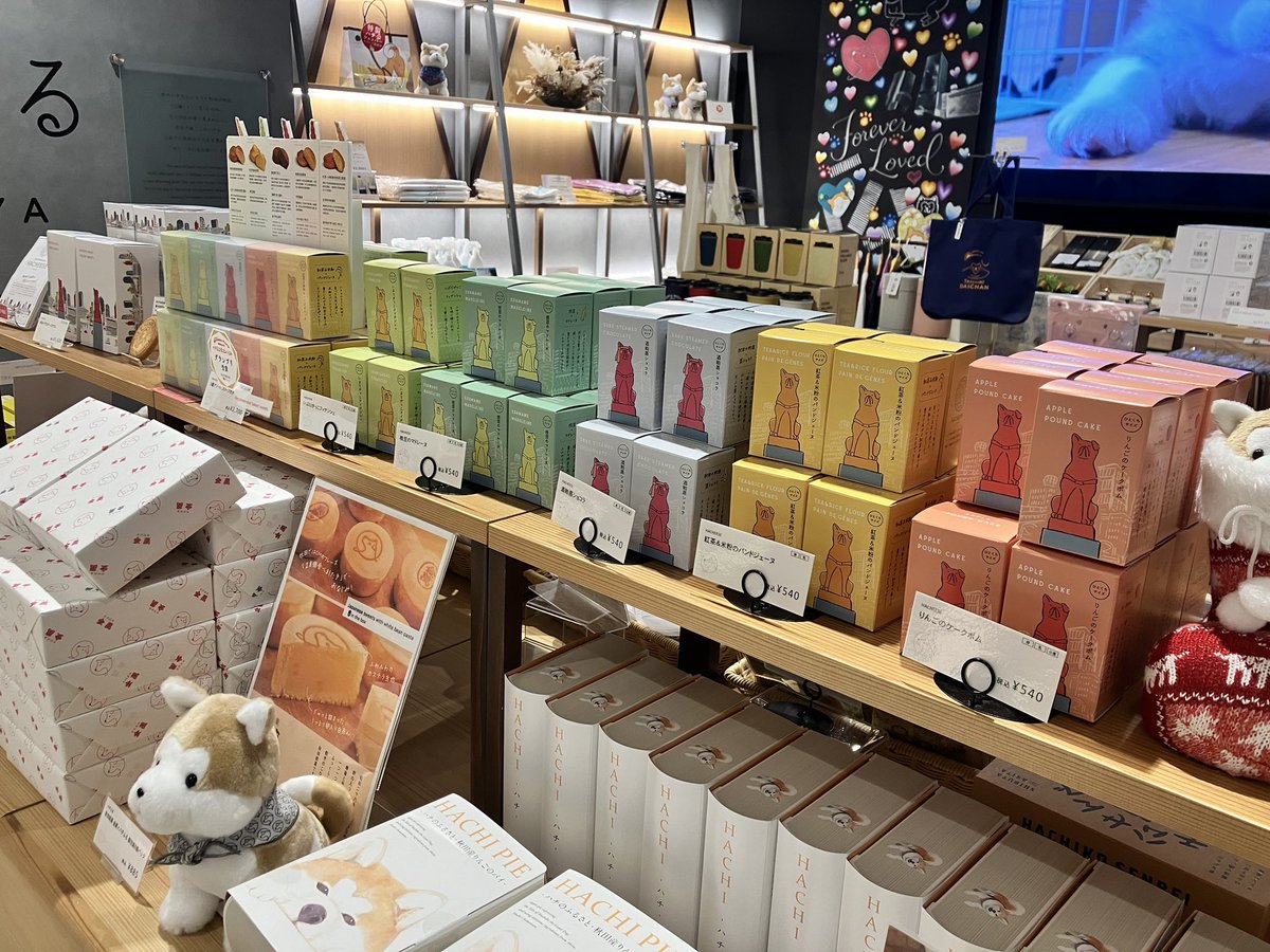 ハチふる【公式】 tweet media