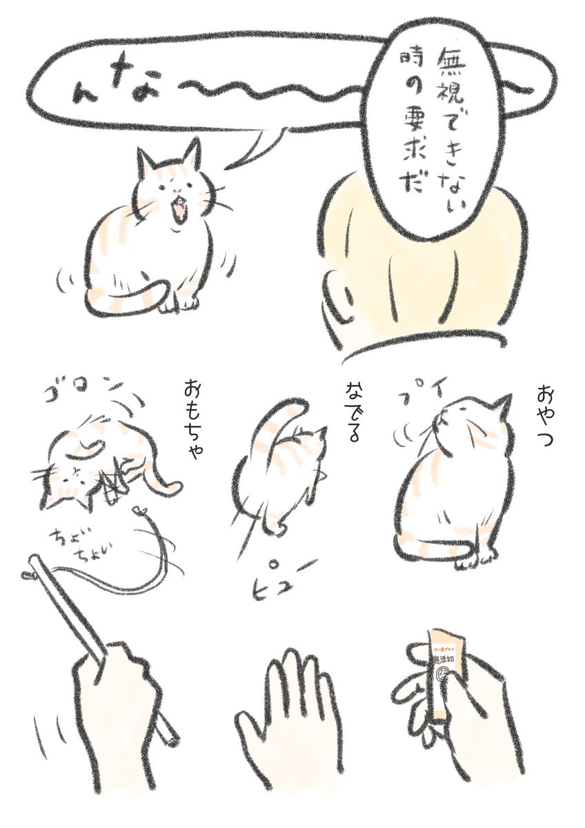 おもちゃは渋々遊んでくれる事もありますが、とろみが何を要求しているか未だに一発で正解を出した事はないように思います。 