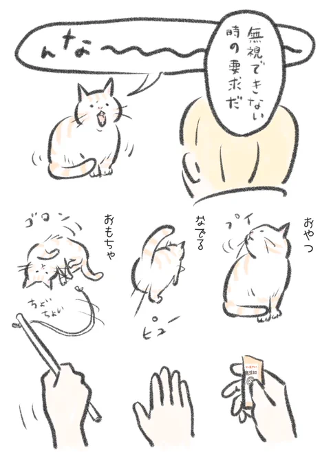 おもちゃは渋々遊んでくれる事もありますが、とろみが何を要求しているか未だに一発で正解を出した事はないように思います。 