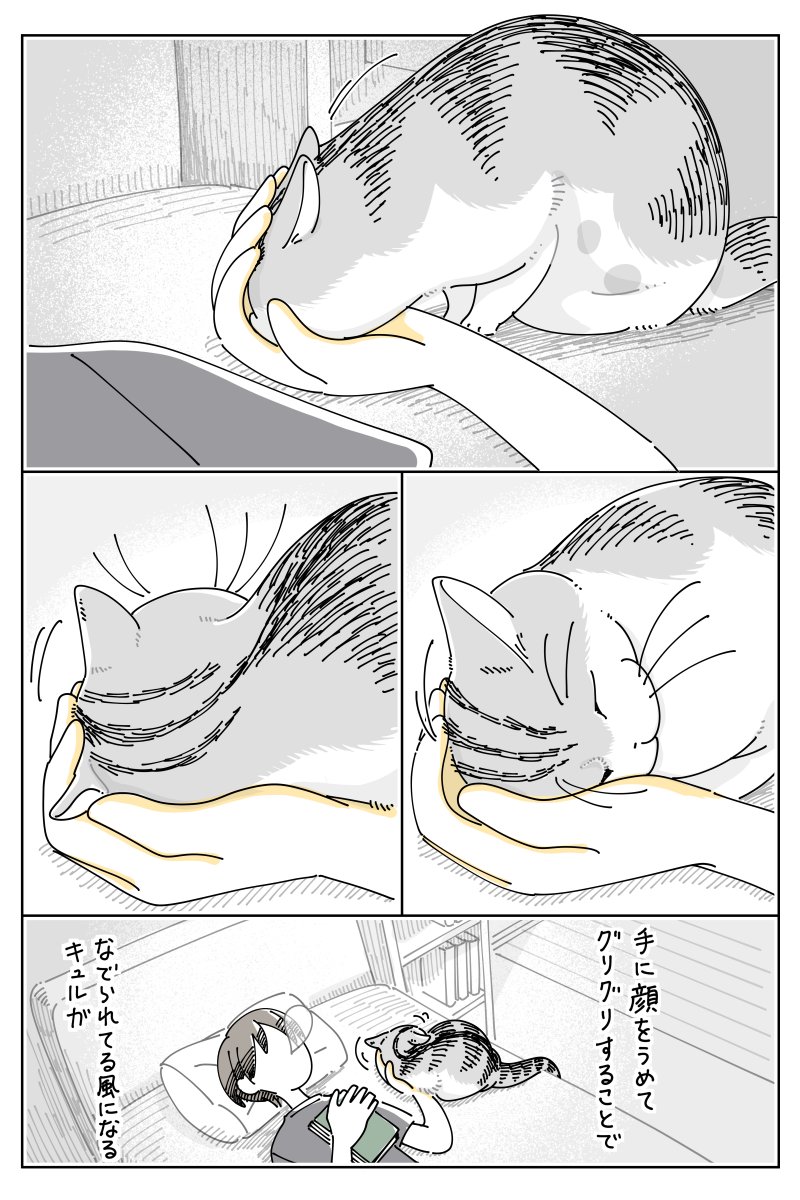 手に顔をうめるネコ https://nekonavi.jp/catblog/archives/82618