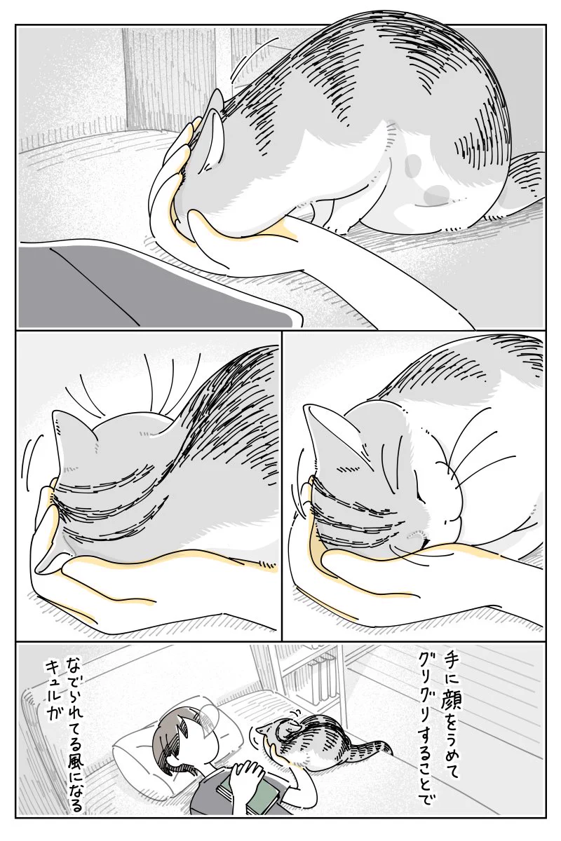 キュルZ X પર: 
