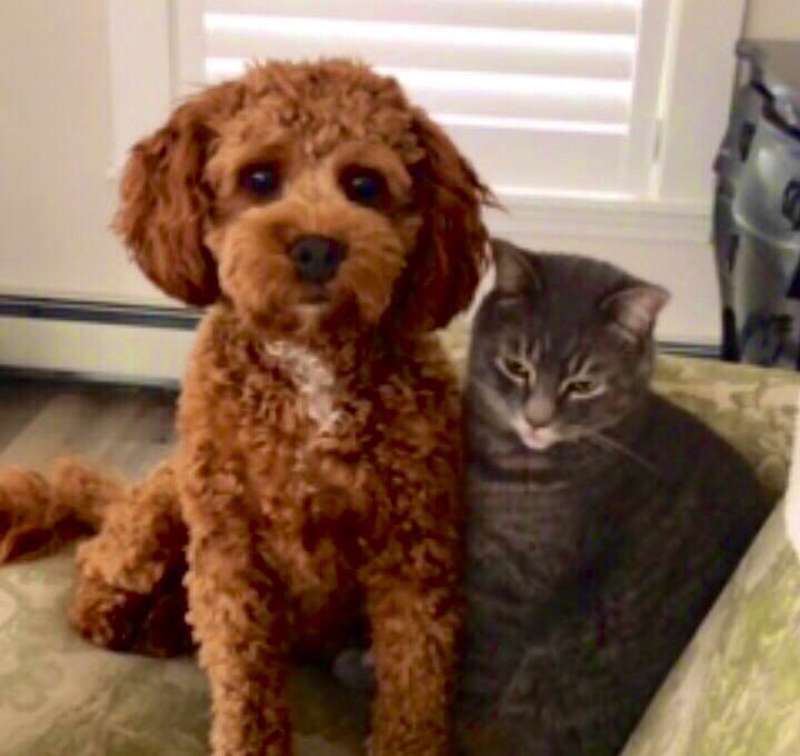 Thomas Lovett tweet media