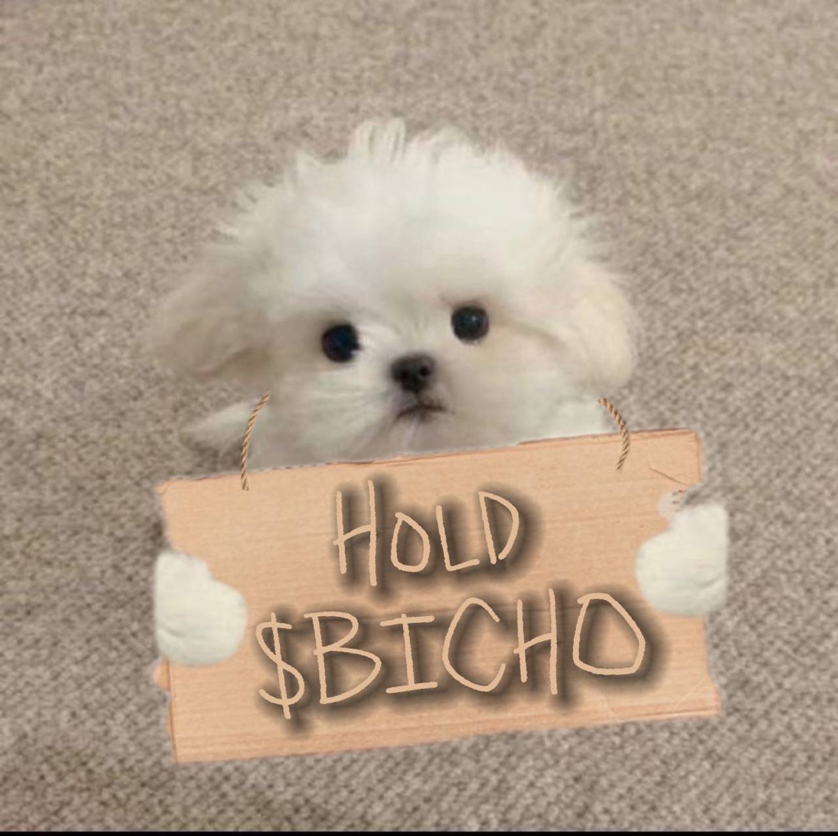 OtwMarketMaker's tweet photo. @wallstreetbets We are never selling $bicho
Because community is strong 

https://t.co/Y10u2XRarT - @bichosolana - $BICHO https://t.co/IuRQrpNAWI