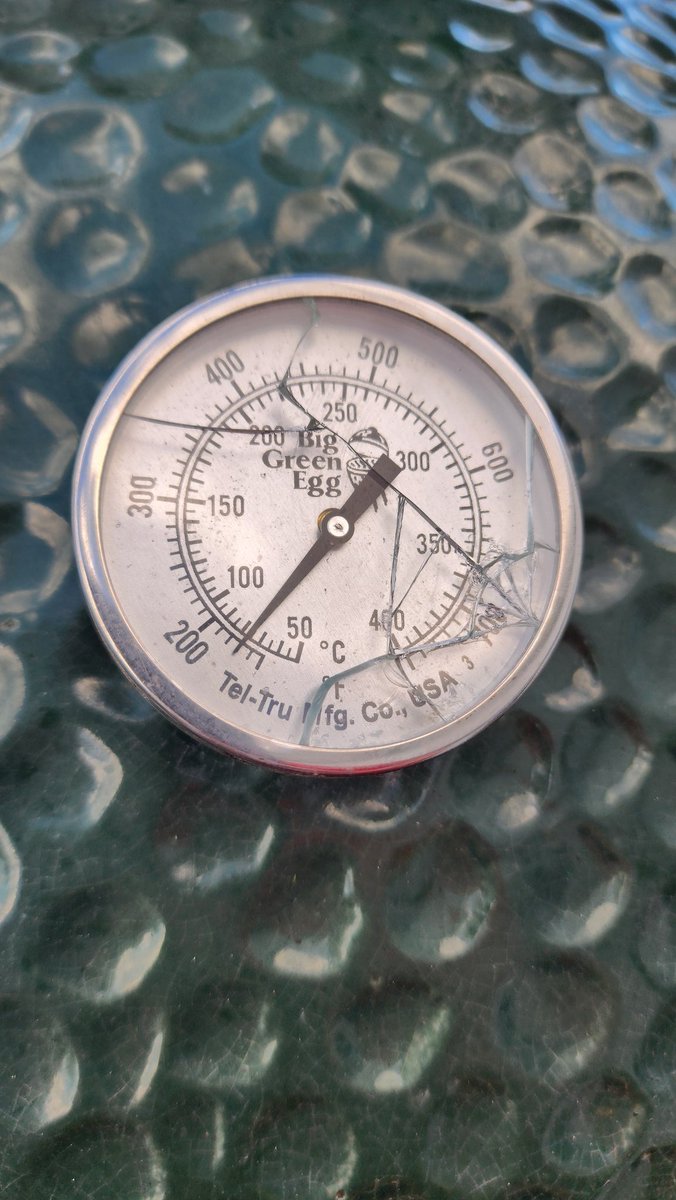 I just realized I had some hail damage from the storm earlier this week. It looks so sad...

<a href="/BigGreenEgg/">Big Green Egg</a> any suggestions on what I should get to replace it?