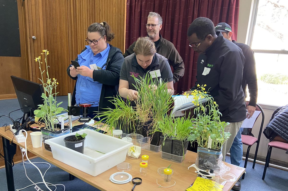 Registrations have opened for <a href="/DPIRDbroadacre/">DPIRD Broadacre - WA Grains & Livestock</a>'s popular Pest &amp; Disease ID Course to be held in Perth 20-22 August. See todays PestFactsWA for more 🔬 Supported by <a href="/theGRDC/">GRDC</a>🌱<a href="/geoffreyjthomas/">Geoff Thomas</a>