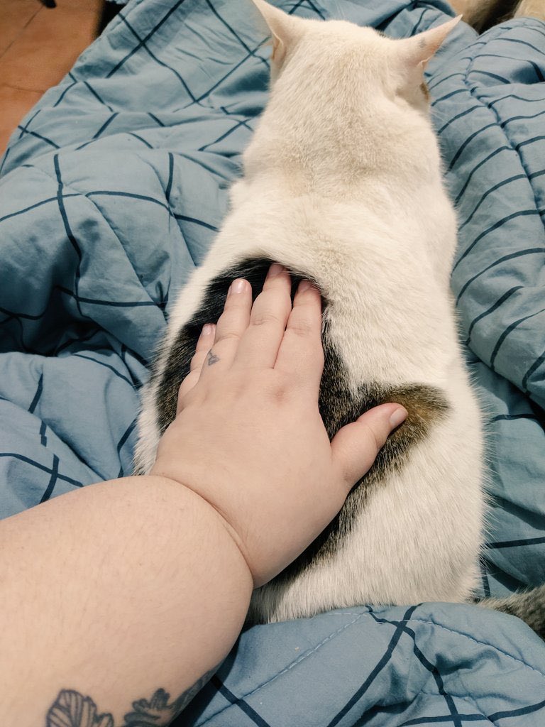 Vendo gato que ativa por biometria