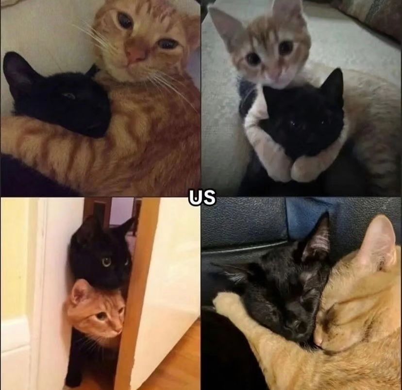 this is us <3