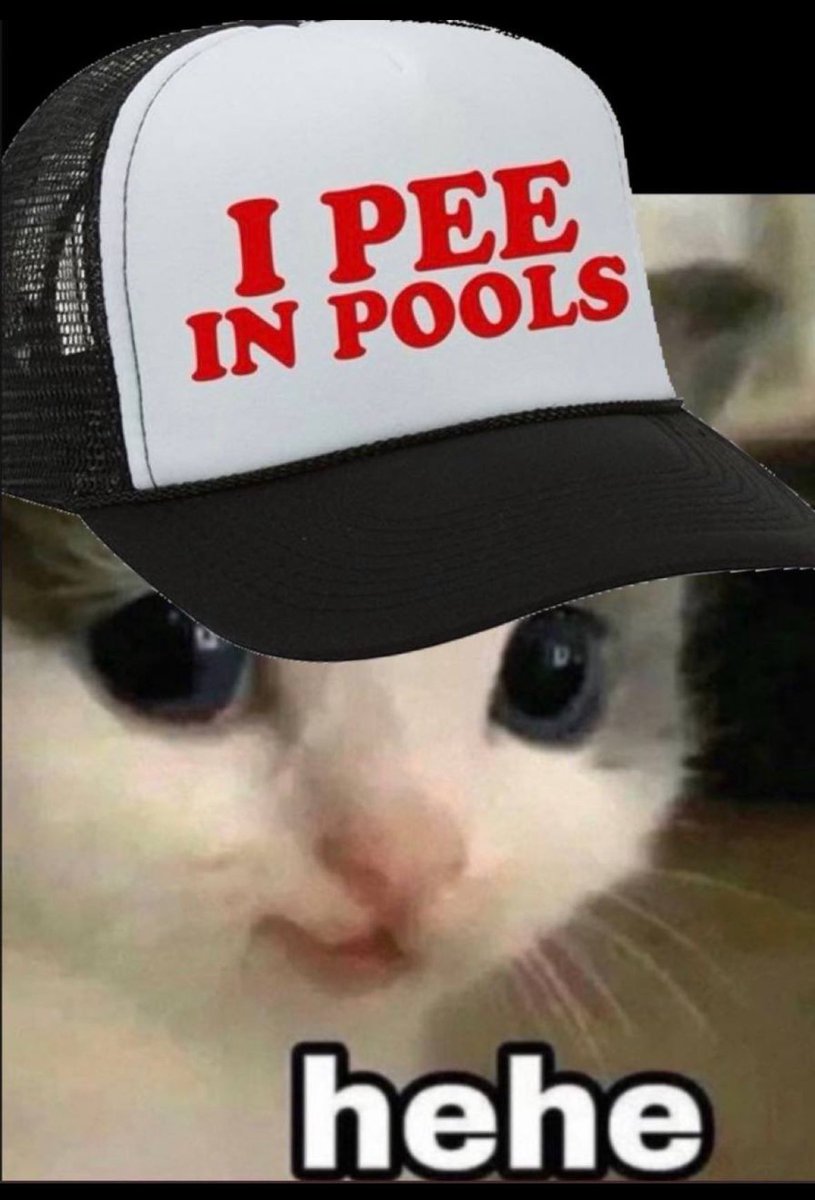 uselessfiat's tweet photo. @SOL_LITTI @Crispy_xyz @artsch00lreject $hehe https://t.co/oBgrTV1tUZ