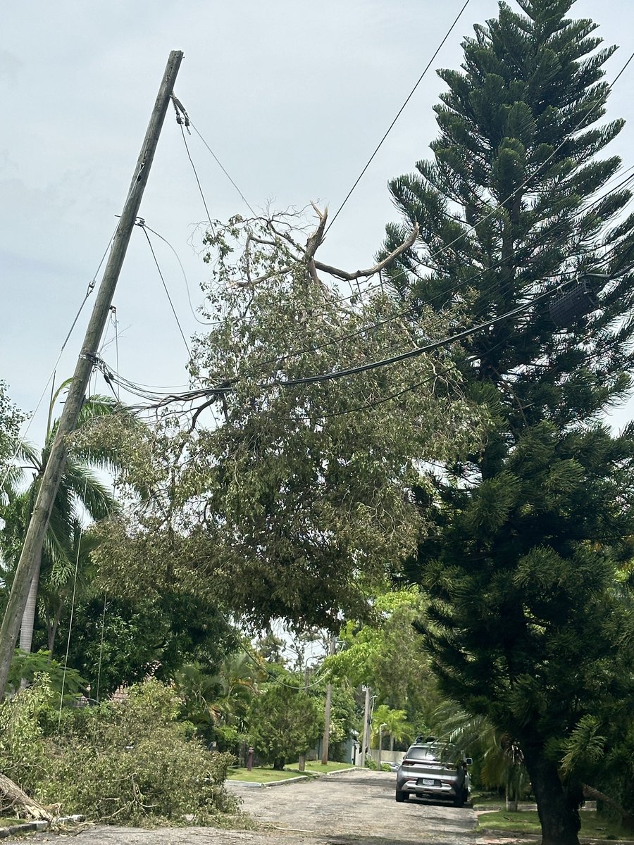 dragonfly_exp's tweet photo. @myJPSonline this is still hanging on this pole as of 9pm on July 4th. Manor Park Drive 🙏🏽 #HurricaneBeryl #jps https://t.co/derJRqXayJ