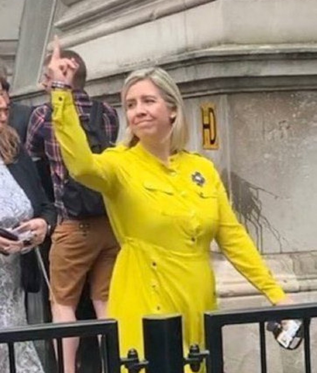 Parody Nigel Farage tweet media